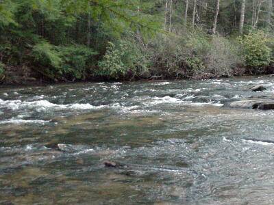 The Toccoa River